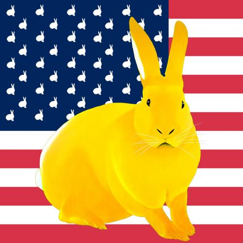 JAUNE FLAG rabbit flag Showroom - Inkjet on plexi, limited editions, numbered and signed. Wildlife painting Art and decoration. Click to select an image, organise your own set, order from the painter on line